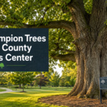 Ohio Champion Trees Delaware County Usd Lewis Center