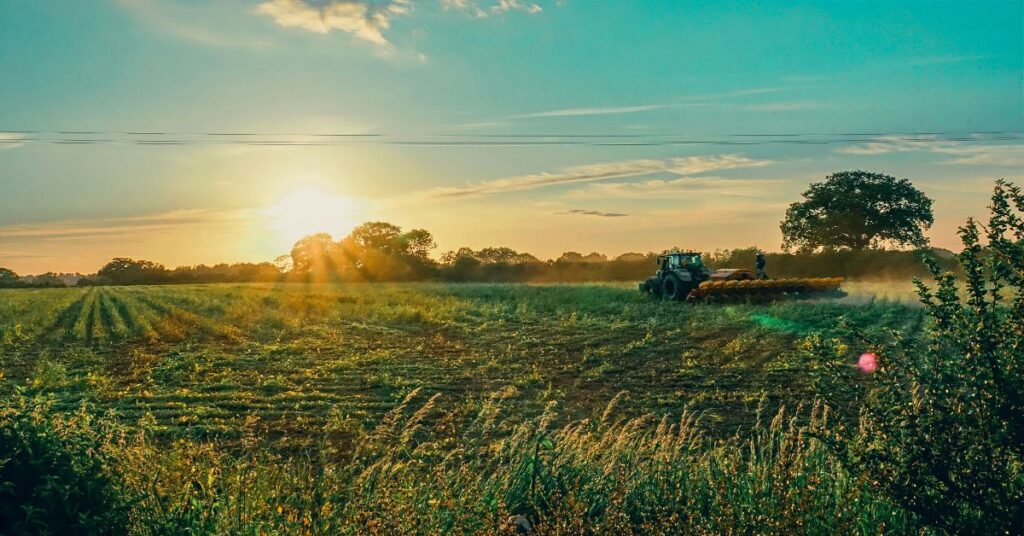 Agricultural Credit Corporation