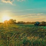 Agricultural Credit Corporation