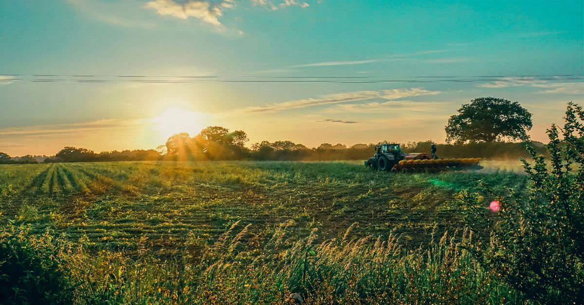 Agricultural Credit Corporation