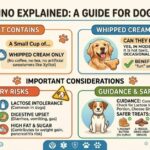 Puppuccino: What It Is, What’s in It and Whether Dogs Can Have One